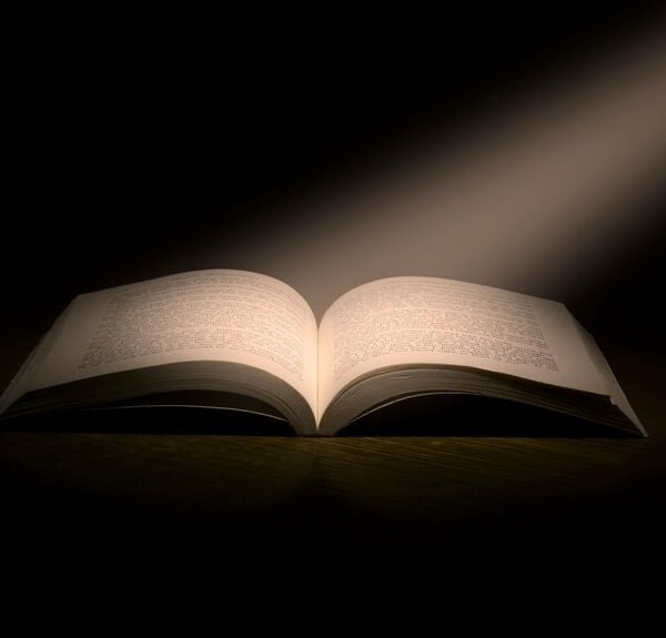 corporate growth insights analysis