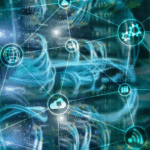 The Innovation Lifecycle in Technology