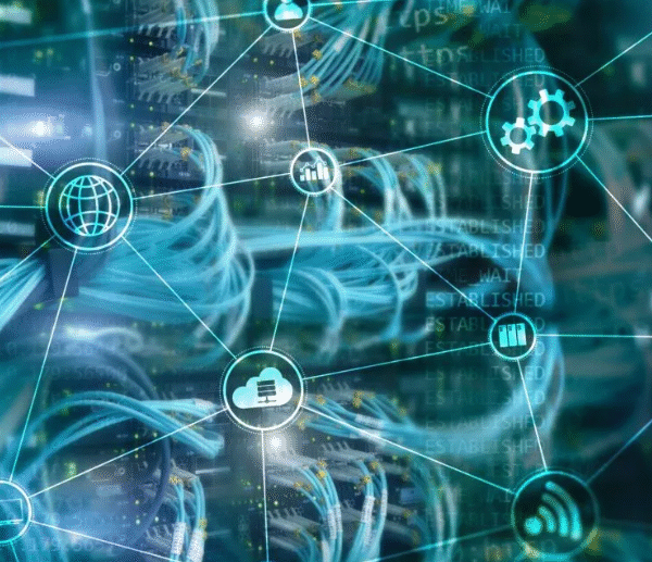 The Innovation Lifecycle in Technology