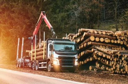 Log Loader Trailer: A Complete Guide to Efficient Timber Handling