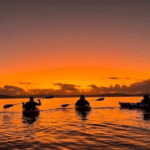 Experience the Serenity of Sunrise Kayaking in Sydney