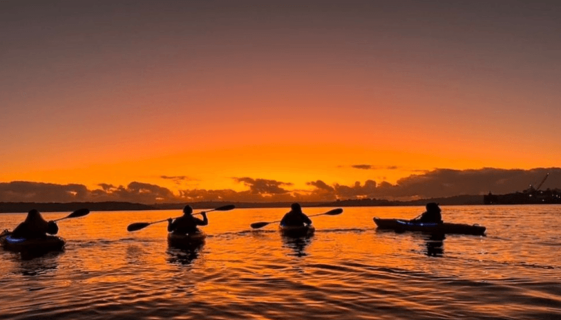 Experience the Serenity of Sunrise Kayaking in Sydney