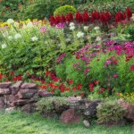 Protect Your Flower Beds from Garden Hose Damage
