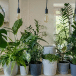 How to Choose a Houseplant That Matches Your Actual Lifestyle